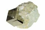 Natural Pyrite Cube In Rock - Navajun, Spain #152289-1